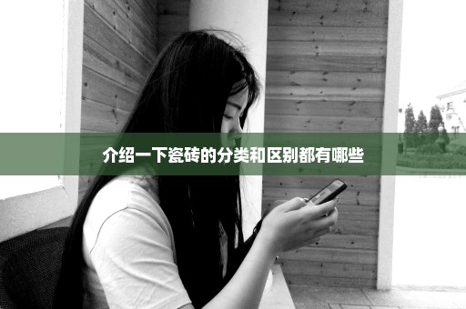 介绍一下瓷砖的分类和区别都有哪些