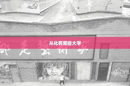 从化有哪些大学