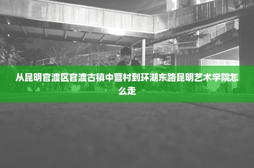 从昆明官渡区官渡古镇中营村到环湖东路昆明艺术学院怎么走