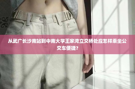从武广长沙南站到中南大学王家湾立交桥处应怎样乘坐公交车便捷？