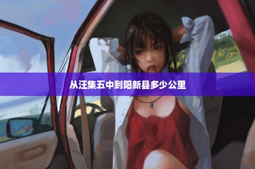 从汪集五中到阳新县多少公里