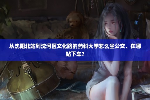 从沈阳北站到沈河区文化路的药科大学怎么坐公交、在哪站下车？