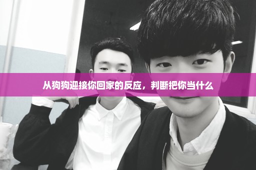 从狗狗迎接你回家的反应，判断把你当什么