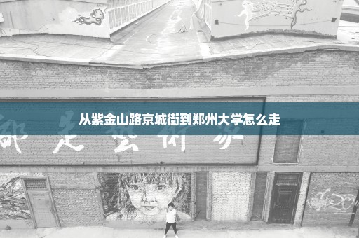 从紫金山路京城街到郑州大学怎么走