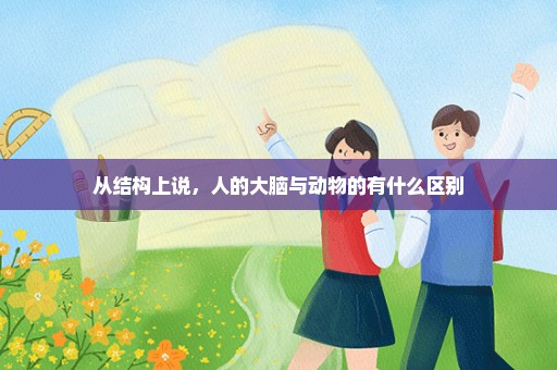 从结构上说，人的大脑与动物的有什么区别
