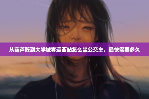 从葫芦阵到大学城客运西站怎么坐公交车，最快需要多久