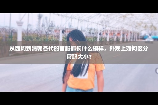 从西周到清朝各代的官服都长什么模样，外观上如何区分官职大小？