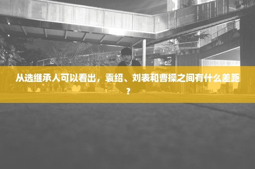 从选继承人可以看出，袁绍、刘表和曹操之间有什么差距？