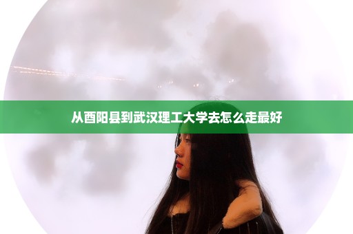 从酉阳县到武汉理工大学去怎么走最好
