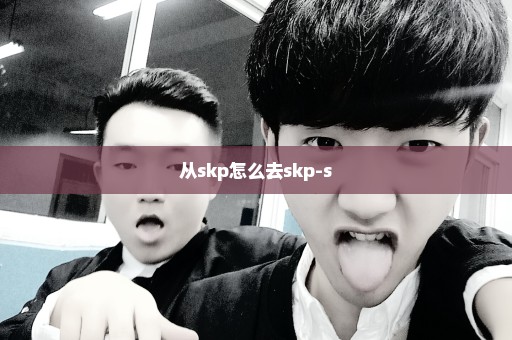 从skp怎么去skp-s