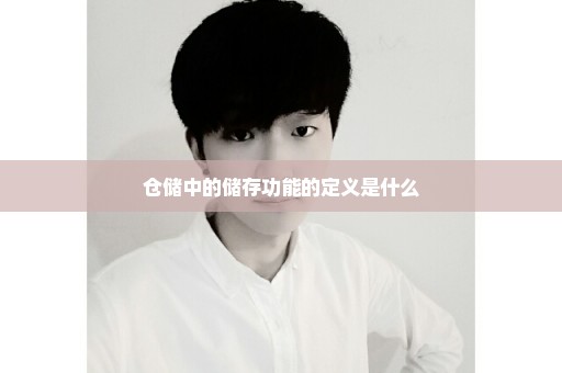 仓储中的储存功能的定义是什么