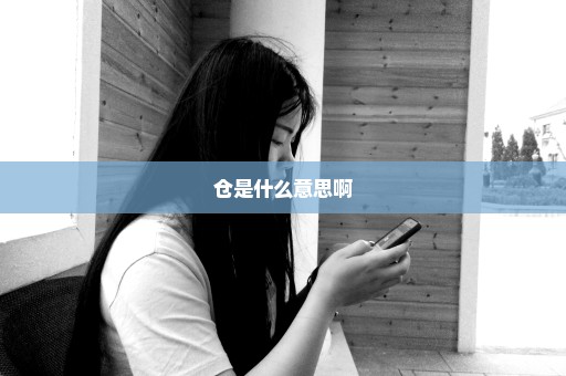 仓是什么意思啊