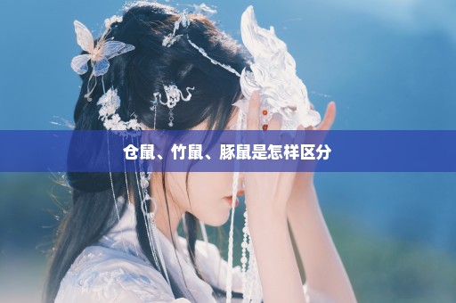 仓鼠、竹鼠、豚鼠是怎样区分