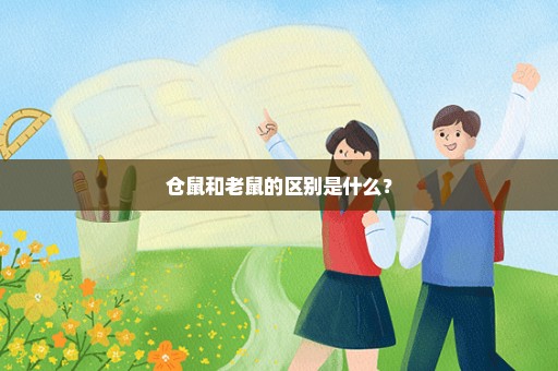 仓鼠和老鼠的区别是什么？