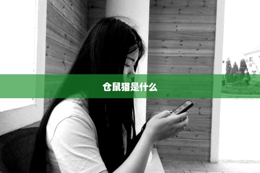 仓鼠猫是什么