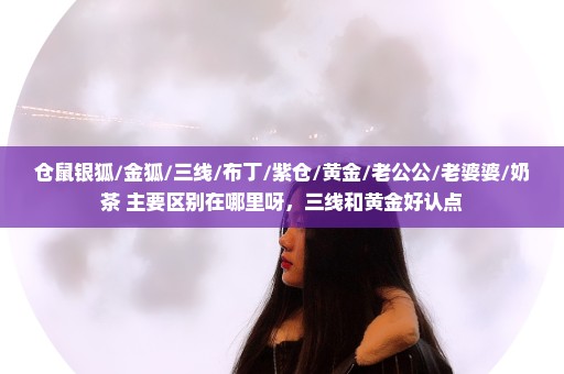 仓鼠银狐/金狐/三线/布丁/紫仓/黄金/老公公/老婆婆/奶茶 主要区别在哪里呀，三线和黄金好认点