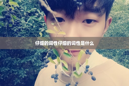 仔细的词性仔细的词性是什么