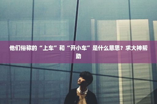 他们俗称的“上车”和“开小车”是什么意思？求大神帮助