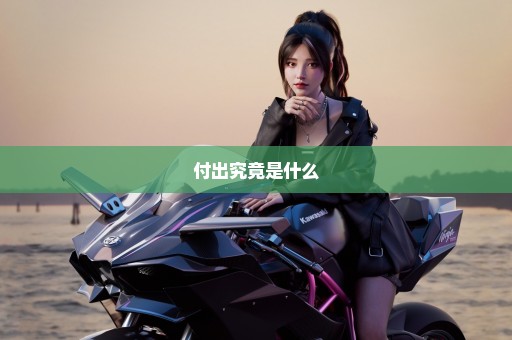 付出究竟是什么