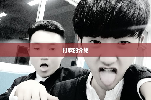 付欣的介绍