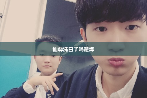仙尊洗白了吗楚烨