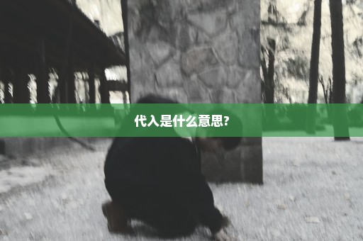 代入是什么意思?