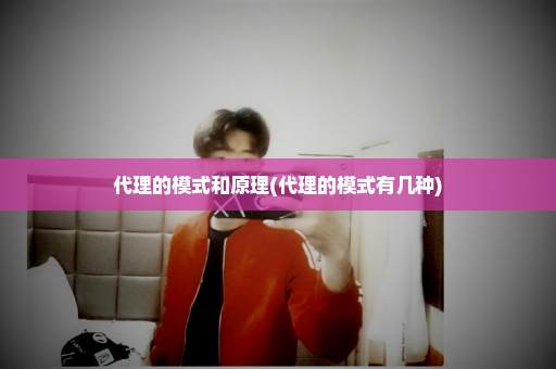代理的模式和原理(代理的模式有几种)