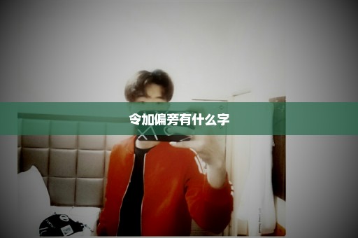 令加偏旁有什么字