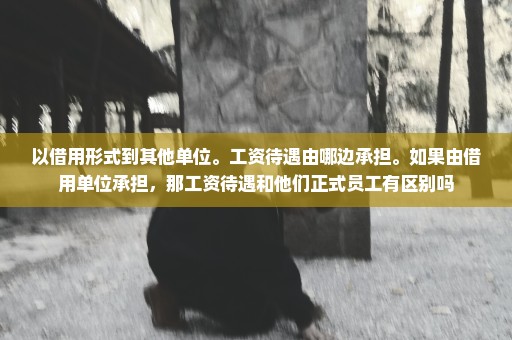 以借用形式到其他单位。工资待遇由哪边承担。如果由借用单位承担，那工资待遇和他们正式员工有区别吗