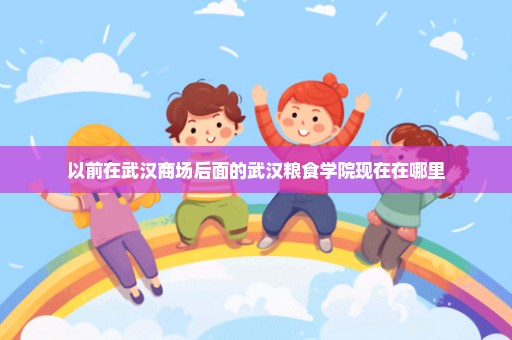 以前在武汉商场后面的武汉粮食学院现在在哪里