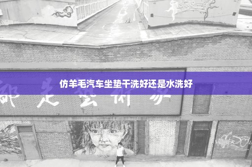 仿羊毛汽车坐垫干洗好还是水洗好