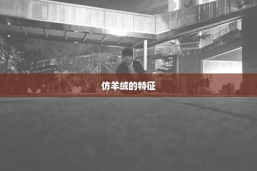 仿羊绒的特征