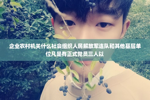 企业农村机关什么社会组织人民解放军连队和其他基层单位凡是有正式党员三人以