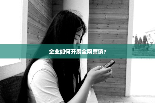 企业如何开展全网营销？