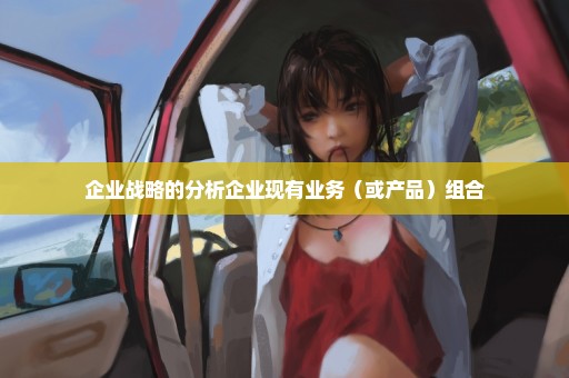 企业战略的分析企业现有业务（或产品）组合
