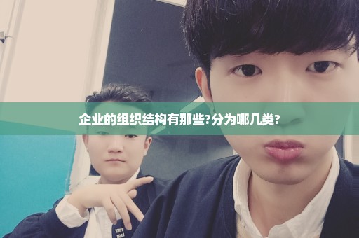 企业的组织结构有那些?分为哪几类?