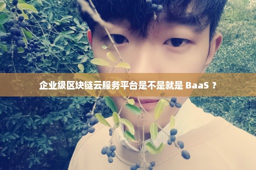 企业级区块链云服务平台是不是就是 BaaS ？