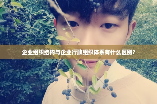 企业组织结构与企业行政组织体系有什么区别？