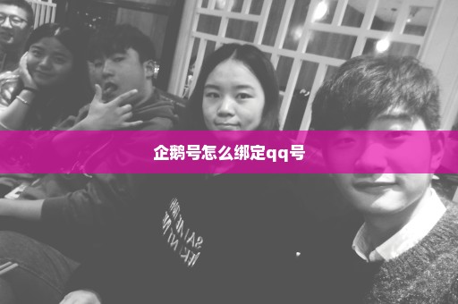企鹅号怎么绑定qq号