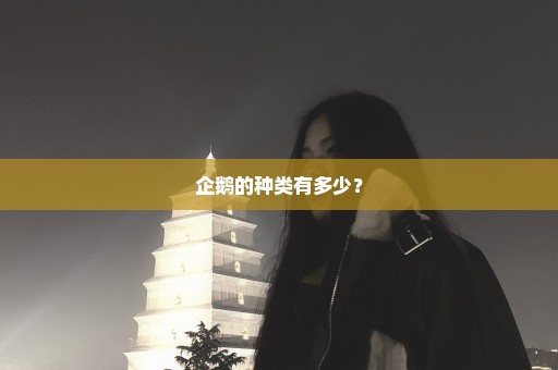 企鹅的种类有多少？