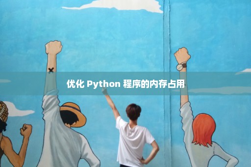优化 Python 程序的内存占用