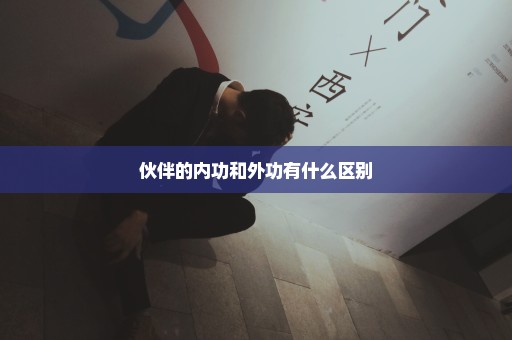 伙伴的内功和外功有什么区别
