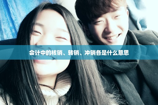 会计中的核销、转销、冲销各是什么意思
