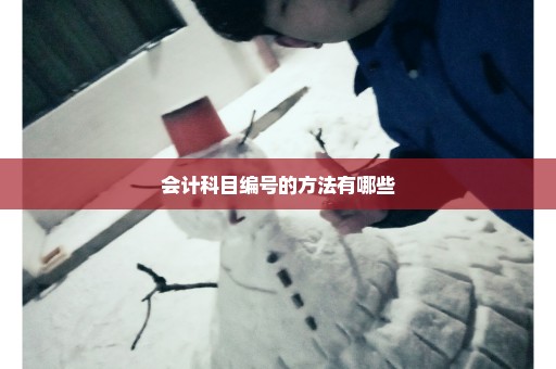会计科目编号的方法有哪些