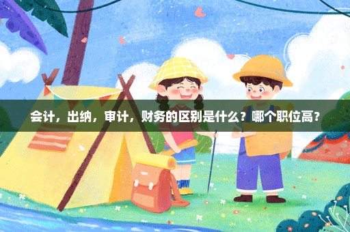 会计，出纳，审计，财务的区别是什么？哪个职位高？