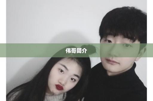 伟哥简介