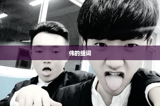 伟的组词