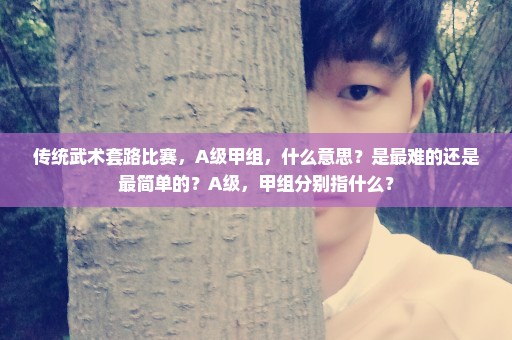 传统武术套路比赛，A级甲组，什么意思？是最难的还是最简单的？A级，甲组分别指什么？