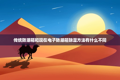 传统防潮箱和现在电子防潮箱除湿方法有什么不同