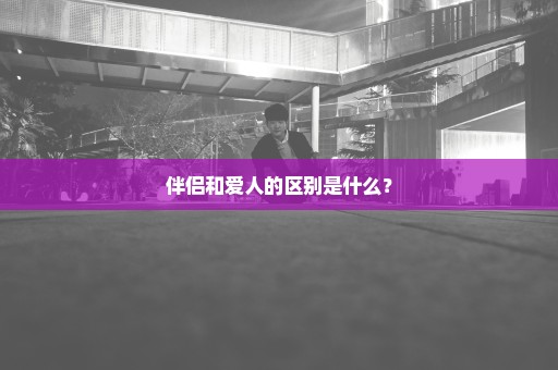 伴侣和爱人的区别是什么？
